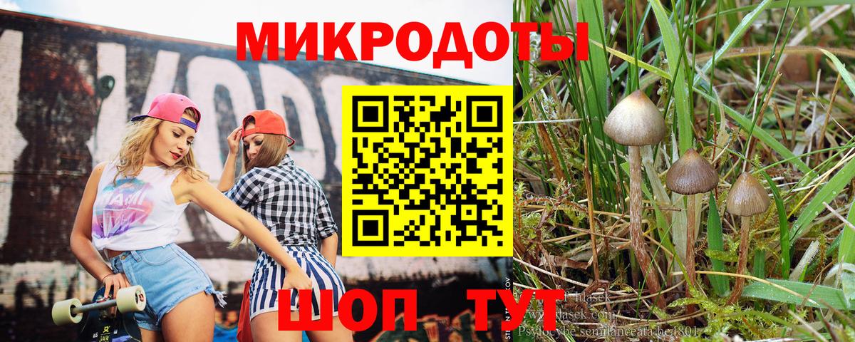Псилоцибиновые грибы мицелий  Вход с VPN  Вятские Поляны 